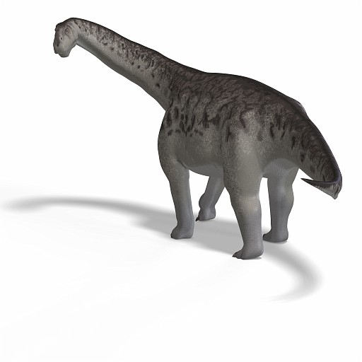 Camarasaurus 06 A_0001.jpg - giant dinosaur camasaurus With Clipping Path over white